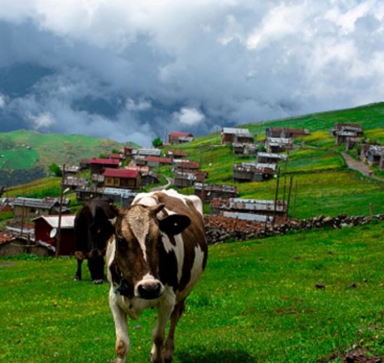 Karadeniz Rüyası & Batum Turu 30 Haziran - 6 Temmuz