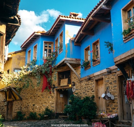 Sömestr´a Özel Cumalıkızık-Uludağ-Bursa Turu 19 Ocak