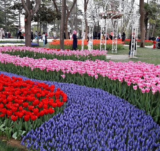 Günübirlik İstanbul LALE Festivali 6 NİSAN