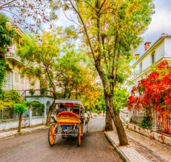 Günübirlik Büyükada&Eminönü 11 Mayıs