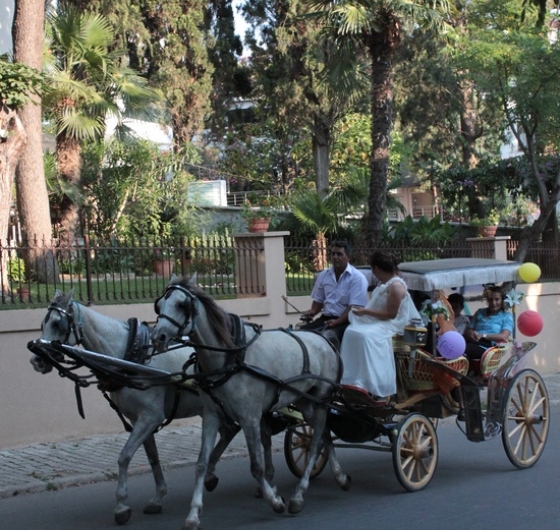 Günübirlik Büyükada&Eminönü 11 Mayıs