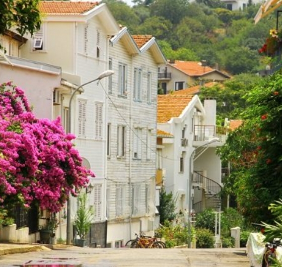 Günübirlik Büyükada&Eminönü 11 Mayıs