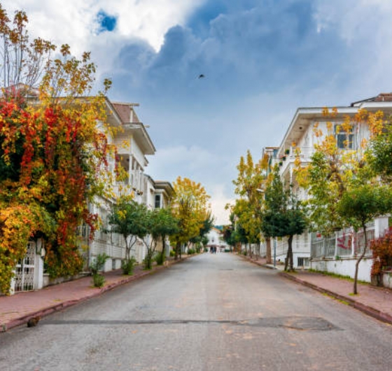 Günübirlik Büyükada&Eminönü 11 Mayıs